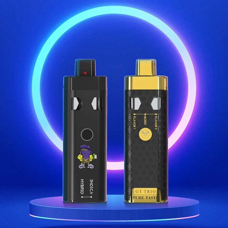 2G/4G/6G Empty All In One Dual Chamber CBD/THC/HHC Rechargeable Disposable Vape Pen